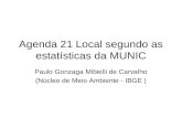 Agenda 21 Local segundo as estatísticas da MUNIC Paulo Gonzaga Mibielli de Carvalho (Núcleo de Meio Ambiente - IBGE )