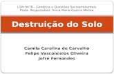 Camila Carolina de Carvalho Felipe Vasconcelos Oliveira Jofre Fernandes Destruição do Solo LGN 0478 - Genética e Questões Socioambientais Profa. Responsável: