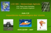 Importância Agroecológica dos Ventos LCE 306 – Meteorologia Agrícola Prof. Paulo Cesar Sentelhas Prof. Luiz Roberto Angelocci ESALQ/USP – 2007 Aula # 13.