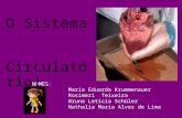 NOMES: Maria Eduarda Krummenauer Rosimeri Teixeira Bruna Letícia Schüler Nathalia Maria Alves de Lima O Sistema Circulatório!