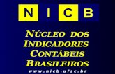 N ÚCLEO DOS I NDICADORES C ONTÁBEIS B RASILEIROS w w w. n i c b. u f s c. b r.