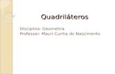 Quadriláteros Disciplina: Geometria Professor: Mauri Cunha do Nascimento.