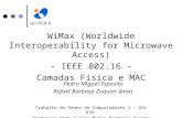 WiMax (Worldwide Interoperability for Microwave Access) - IEEE 802.16 - Camadas Física e MAC Pedro Miguel Esposito Rafael Barbosa Zuquim Antas Trabalho.