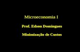 Microeconomia I Prof. Edson Domingues Minimização de Custos.