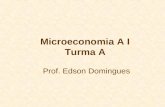 Microeconomia A I Turma A Prof. Edson Domingues. Aula 10 Escolha Intertemporal.