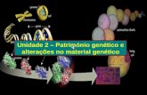 Unidade 2 – Património genético e alterações no material genético.