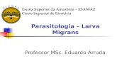 Parasitologia – Larva Migrans Professor MSc. Eduardo Arruda Escola Superior da Amazônia – ESAMAZ Curso Superior de Farmácia.