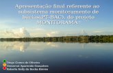 Apresentação final referente ao subsistema monitoramento de bacias(PT-BAC), do projeto MONITORAMA Apresentação final referente ao subsistema monitoramento.
