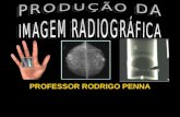 PROFESSOR RODRIGO PENNA. Professor Rodrigo Penna Sítio na internet:  Blog: .