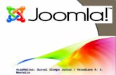 Índice: Entendendo o Joomla! Estrutura do Joomla Componentes Módulos Plug-in Template Idioma.
