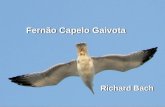 Fernão Capelo Gaivota Richard Bach Este livro conta a história de uma gaivota que não se conforma em passar a vida em busca de alimento, disputando um.