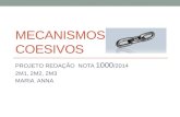 MECANISMOS COESIVOS PROJETO REDAÇÃO NOTA 1000 /2014 2M1, 2M2, 2M3 MARIA ANNA.