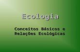 Ecologia Conceitos Básicos e Relações Ecológicas.