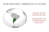 SUB-REGIÃO: AMÉRICA PLATINA Porção Sul da América do Sul Juntamente com o Chile forma o Cone Sul.