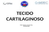 TECIDO CARTILAGINOSO Prof a. Marta G. Amaral, Dra. Histofisiologia Prof a. Marta G. Amaral, Dra. Histofisiologia.