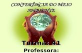 CONFERÊNCIA DO MEIO AMBIENTE Turma: 41 Professora: Delenice.
