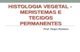 HISTOLOGIA VEGETAL - MERISTEMAS E TECIDOS PERMANENTES Prof. Regis Romero.