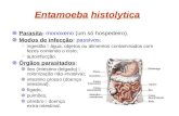 Entamoeba histolytica Parasita: monoxeno (um só hospedeiro). Modos de infecção: passivos: ingestão água, objetos ou alimentos contaminados com fezes contendo.