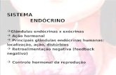 SISTEMA ENDÓCRINO Glândulas endócrinas x exócrinas Ação hormonal Principais glândulas endócrinas humanas: localização, ação, distúrbios Retroalimentação.