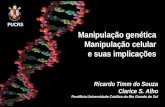 Manipulação genética Manipulação celular e suas implicações Manipulação genética Manipulação celular e suas implicações Ricardo Timm do Souza Clarice S.