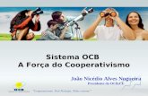 Sistema OCB A Força do Cooperativismo João Nicédio Alves Nogueira Presidente da OCB CE.