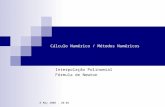 8 May 2008. 20:02 Cálculo Numérico / Métodos Numéricos Interpolação Polinomial Fórmula de Newton.