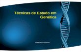 Técnicas de Estudo em Genética Prof.Doutor José Cabeda.