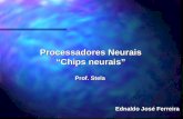 Processadores Neurais Chips neurais Ednaldo José Ferreira Prof. Stela.
