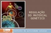 REGULAÇÃO DO MATERIAL GENÉTICO Controlo da actividade celular Prof. Ana Rita Rainho.