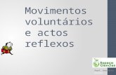 Movimentos voluntários e actos reflexos Prof. Ana Rita Rainho.