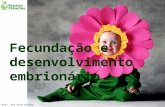 Fecundação e desenvolvimento embrionário Prof. Ana Rita Rainho.