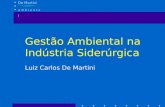 De Martini a m b i e n t a l Gestão Ambiental na Indústria Siderúrgica Luiz Carlos De Martini.