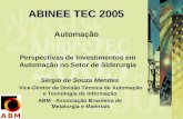 ABINEE TEC 2005 Automação Perspectivas de Investimentos em Automação no Setor de Siderurgia Sérgio de Souza Mendes Vice-Diretor da Divisão Técnica de Automação.
