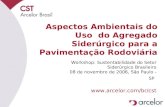 Aspectos Ambientais do Uso do Agregado Siderúrgico para a Pavimentação Rodoviária Workshop: Sustentabilidade do Setor Siderúrgico Brasileiro 08 de novembro.
