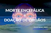 MORTE ENCEFÁLICA e DOAÇÃO DE ÓRGÃOS Priscila Mimary - R2CM primyma@yahoo.com.br.