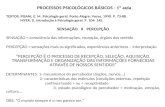 PROCESSOS PSICOLÓGICOS BÁSICOS - 1ª aula TEXTOS: PISANI, E. M. Psicologia geral. Porto Alegre: Vozes, 1990. P. 73-88. MYER, D. Introdução à Psicologia.