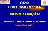 CRO CHIEF RISK OFFICER NOVA FUNÇÃO Antonio Celso Ribeiro Brasiliano Setembro 2002.