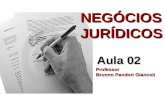 NEGÓCIOS JURÍDICOS Aula 02 Professor Brunno Pandori Giancoli.