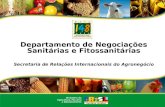 Departamento de Negociações Sanitárias e Fitossanitárias Secretaria de Relações Internacionais do Agronegócio.