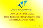 CONSULTAS PÚBLICAS Plano das Bacias Hidrográficas dos Rios Piracicaba, Capivari e Jundiaí Luiz Roberto Moretti Secretário-executivo do CBH-PCJ e do PCJ.