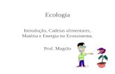 Ecologia Introdução, Cadeias alimentares, Matéria e Energia no Ecossistema. Prof. Magrão.