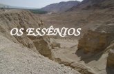 OS ESSÊNIOS Local onde foram encontrados os Pergaminhos do Mar Morto onde foram encontrados os Manuscritos do Mar Morto.