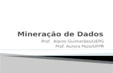 Prof. Alaine Guimarães/UEPG Prof. Aurora Pozo/UFPR.