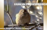 Lição de PERSEVERANÇA Música: Songbird – Barbra Streisand Clique.