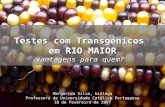 Testes com Transg é nicos em RIO MAIOR vantagens para quem? Testes com Transg é nicos em RIO MAIOR vantagens para quem? Margarida Silva, bi ó loga Professora.