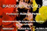 1 RADIOPROTEÇÃO Professor: Rodrigo Penna Departamento de Engenharia Nuclear CCTN - UFMG.