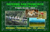 FAZENDA SAN FRANCISCO “O melhor safári do Brasil” MIRANDA * PANTANAL SUL * MS * BRASIL Projeto Escola - 2008.