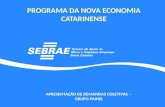 PROGRAMA DA NOVA ECONOMIA CATARINENSE APRESENTAÇÃO DE DEMANDAS COLETIVAS - GRUPO PAINEL.