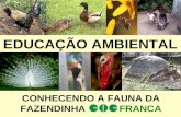 EDUCAÇÃO AMBIENTAL CONHECENDO A FAUNA DA FAZENDINHA FRANCA.