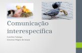 Comunicação interespecífica Caroline Falanga Giovana Magro de Souza.